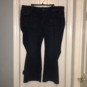 Lane Bryant flare jeans